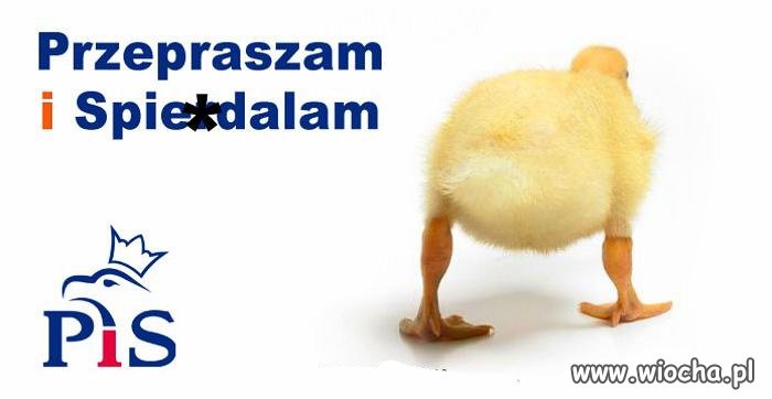 I właśnie tak powinni zrobić 