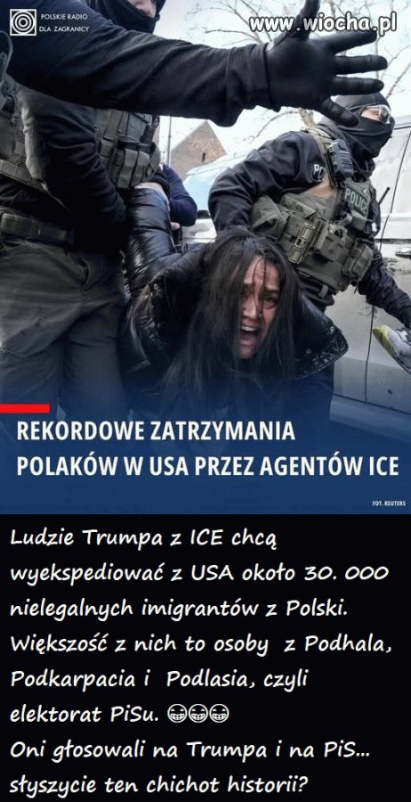 Jak tam pisowskie wieśniaki?