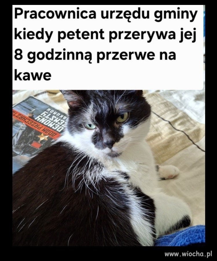 A umie Pan czytać?