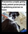 A umie Pan czytać?