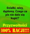 W punkt