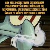 Niech ten nektar nie zrujnuje mojego dnia