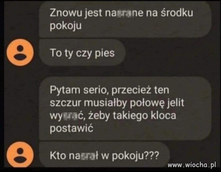 Kiedy: jeszcze tylko tu n*srać