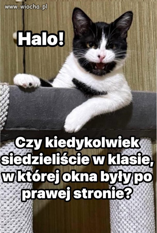 ...szach mat...