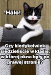 ...szach mat...