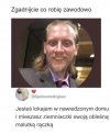Zawód: Specjalista od absurdów