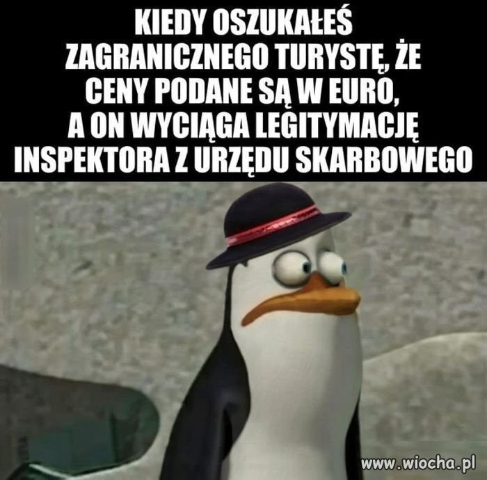 A górale swoje