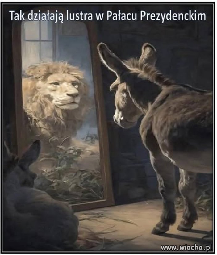 To już wiadomo dlaczego tak się sadzi i puszy...