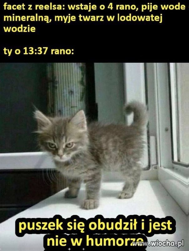 POV: moje poranki