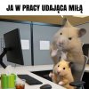 Kiedy musisz być profesjonalny, a masz dość