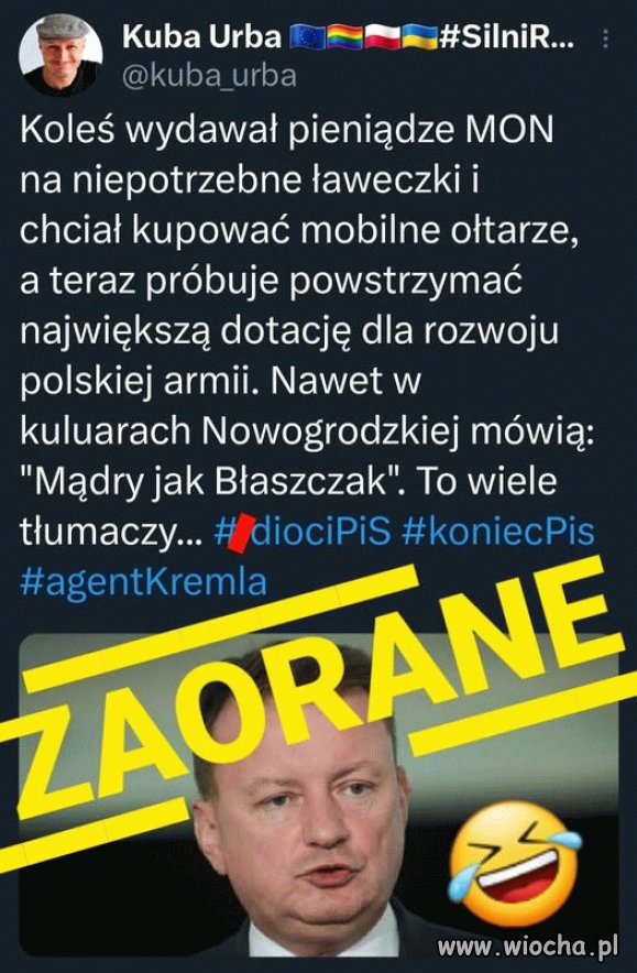 Dzióbek pisowski