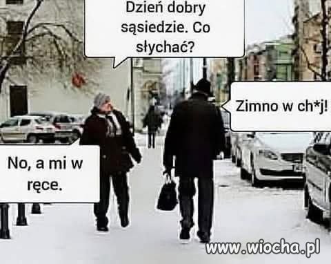 Sąsiedzkie rozmowy w mroźny dzień mają swoje prawa.