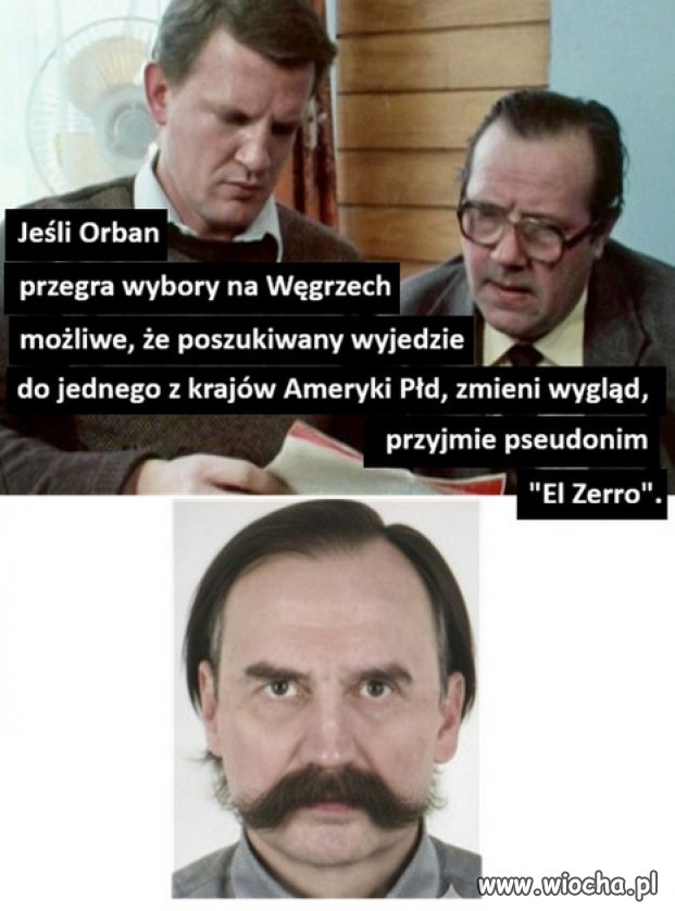 Zero to juz posmiewisko, ktore szkodzi PiSowi Kaczynskiego!