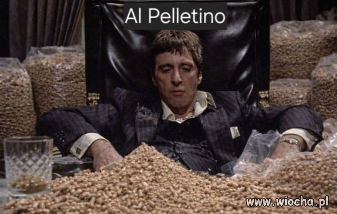Masz pellet 