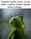 Legenda głosi, że nadal szukają