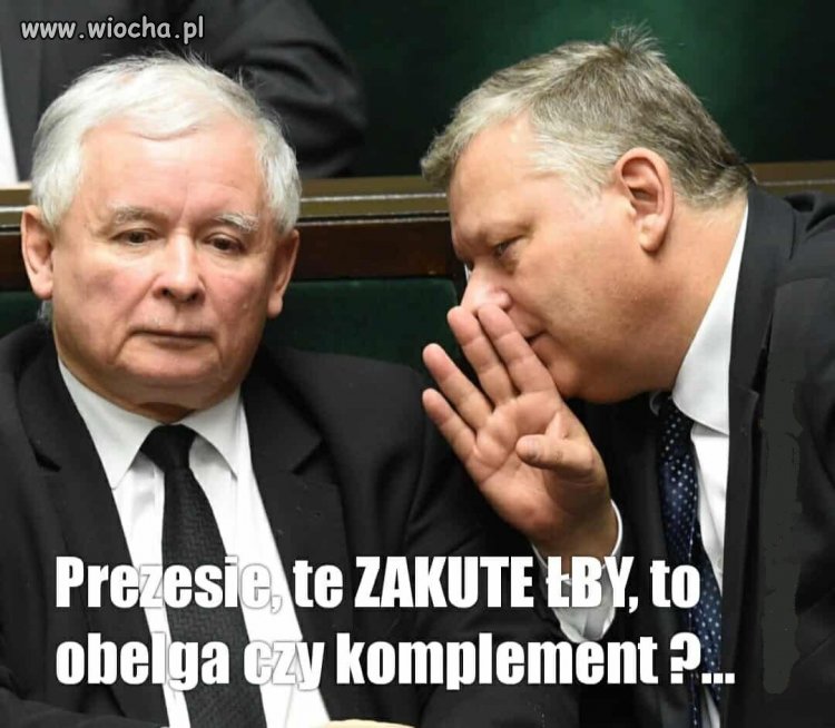 Wszyscy pisowcy mocno skonfundowani... 