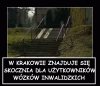 Szykują się do paraolimpiady