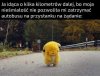 Nieśmiałość kosztuje kilometry