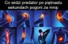 Zabójczy piętnastosekundowy bieg