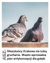 Jak śpiewał Peja: