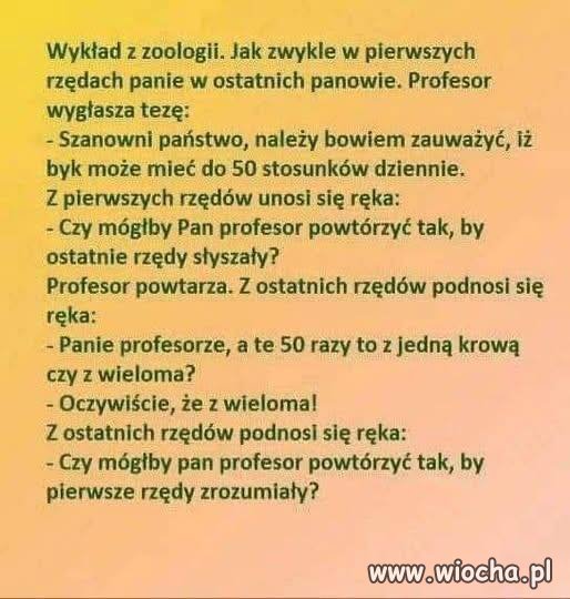 ...jakieś powiedzenie, że niby dziura i szczur...