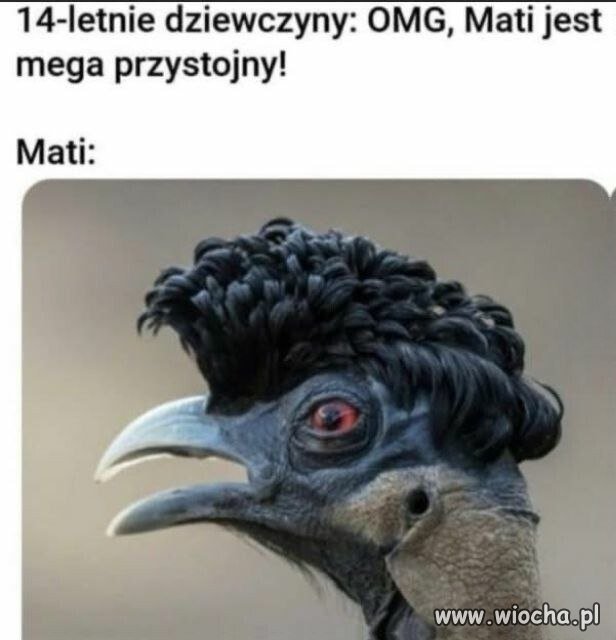 Mati, ale fryz to masz niezły