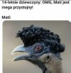 Mati, ale fryz to masz niezły