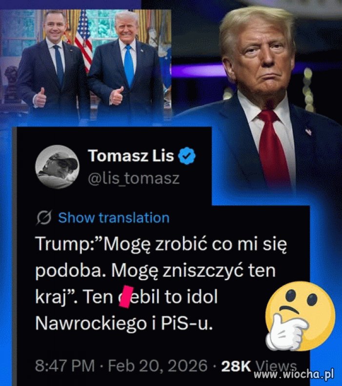 Lis jak zawsze w punkt