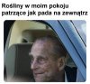 Rośliny w trybie tęsknota