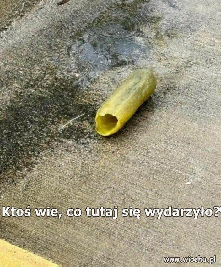 Ciekawostka i zagadka