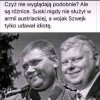 Nie obrażać Szwejka!!!