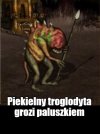 Wersja lajt