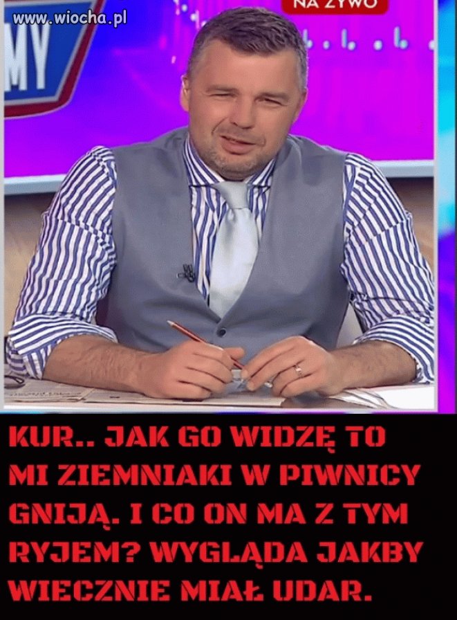 Rachoń krzywomordy