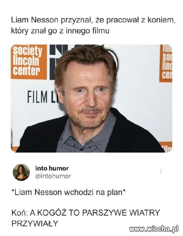 Z koniem też się można zaprzyjaźnić