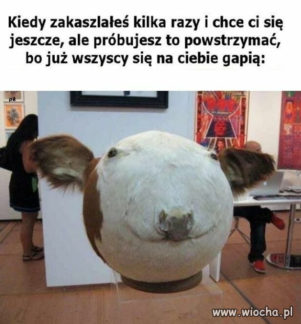 Bardzo przepraszam