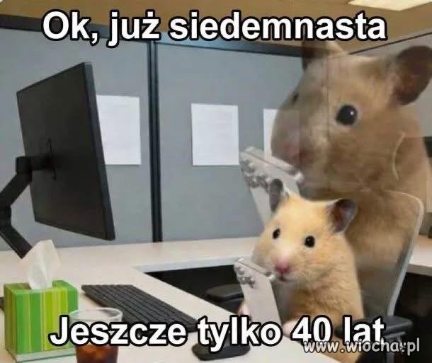 I tak całe życie