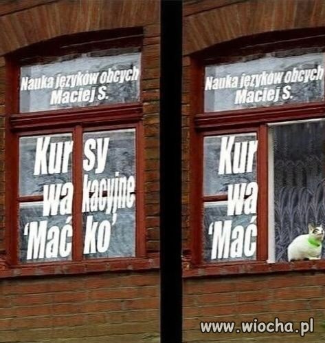 Mistrz marketingu 