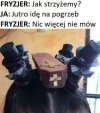 Efekt końcowy