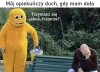 Tak jak widać