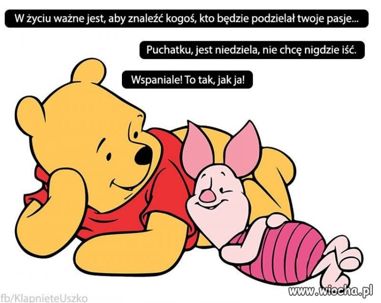 W życiu ważne jest aby znaleźć kogoś
