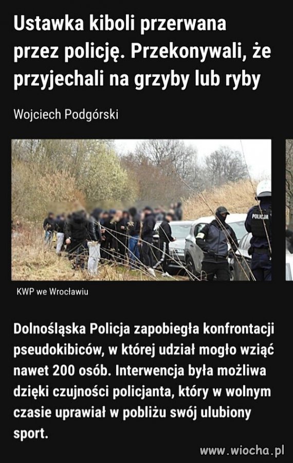 Ale po co? 