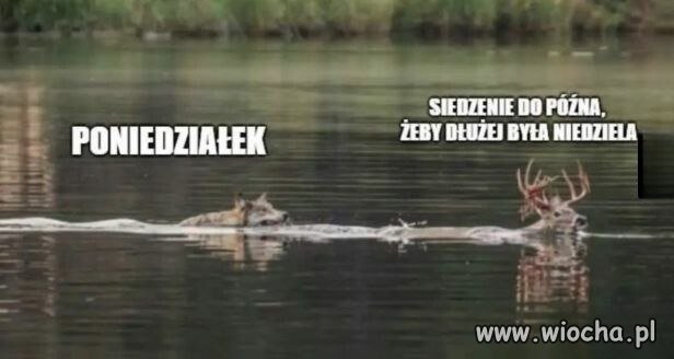 Nikt nie jest gotowy