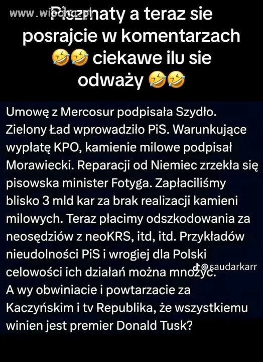 ZAWSZE PISIORY ODWRACAJĄ KOTA OGONEM