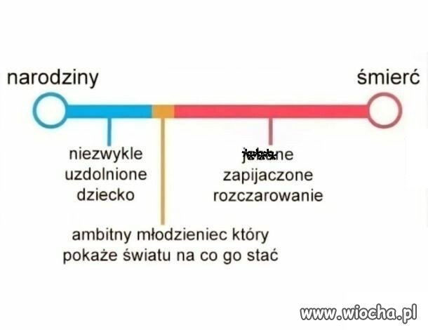 Krąg życia