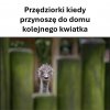 Dlaczego tak jest zawsze?