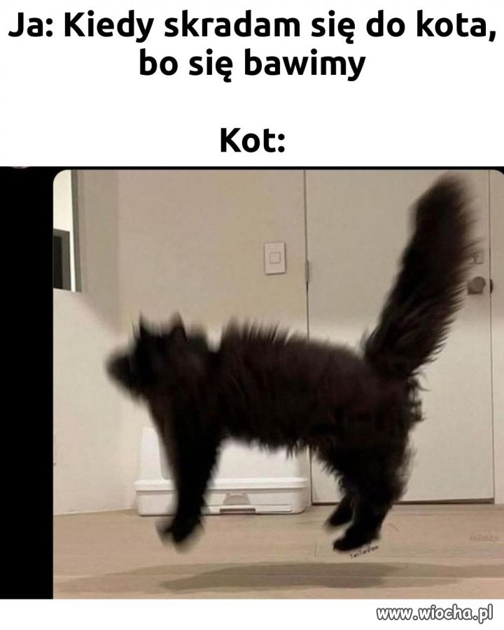 Spokojnie