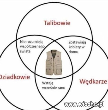 Coś w tym jest