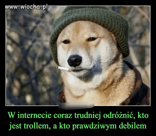 Prawda 