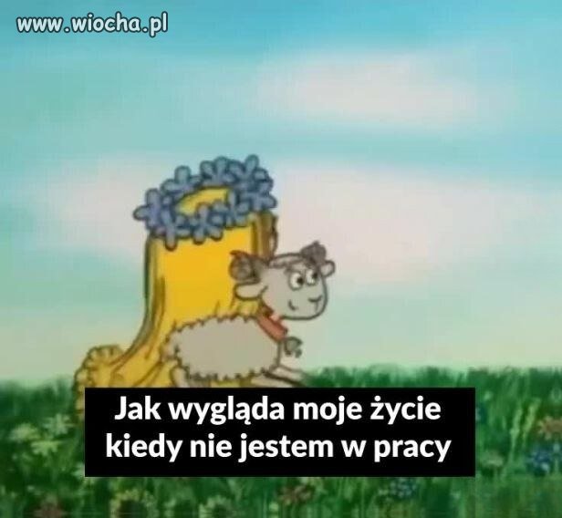 Jak nastroje po weekendzie?