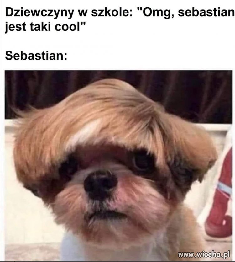 Sekret popularności
